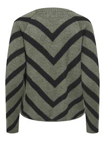 lizard-w- black