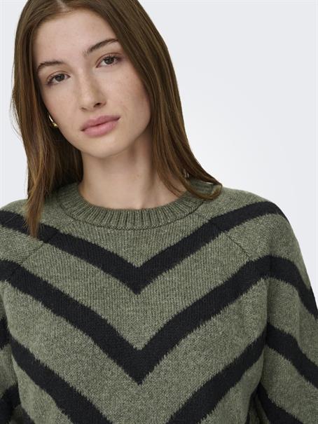 lizard-w- black