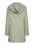 loden frost