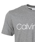LOGO-T-SHIRT grau