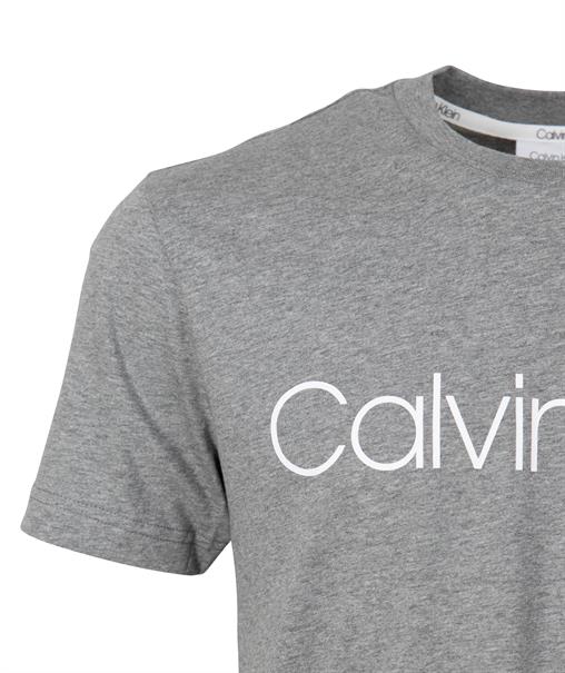 LOGO-T-SHIRT grau