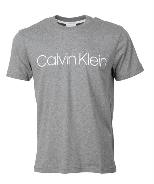 LOGO-T-SHIRT grau