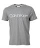 LOGO-T-SHIRT grau