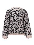 LS A SK Li44ona grey leo