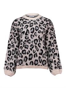LS A SK Li44ona grey leo