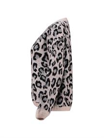 LS A SK Li44ona grey leo