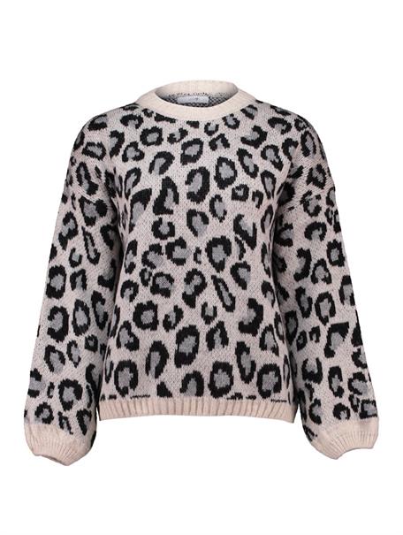 LS A SK Li44ona grey leo