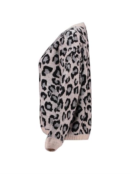 LS A SK Li44ona grey leo