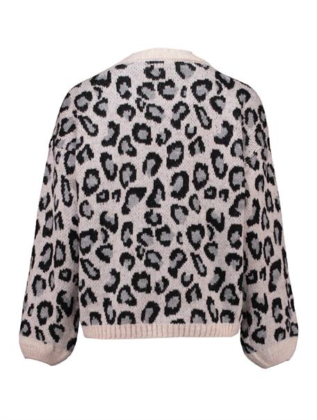 LS A SK Li44ona grey leo