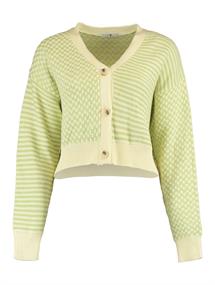 LS C CD Lu44ana pastel green-offwhite