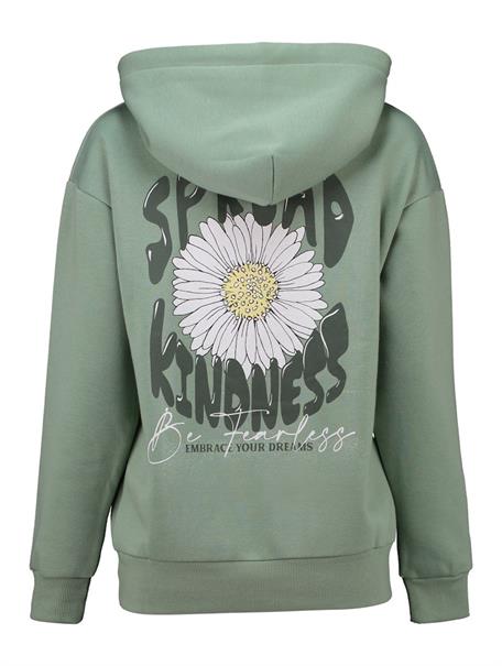 LS C HD Ni44ka sage green