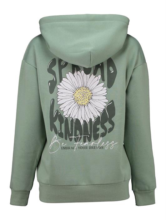 ls-c-hd-ni44ka-sage-green
