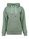 LS C HD Ni44ka sage green