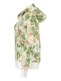 LS C HJ Ly44s 6148 palm