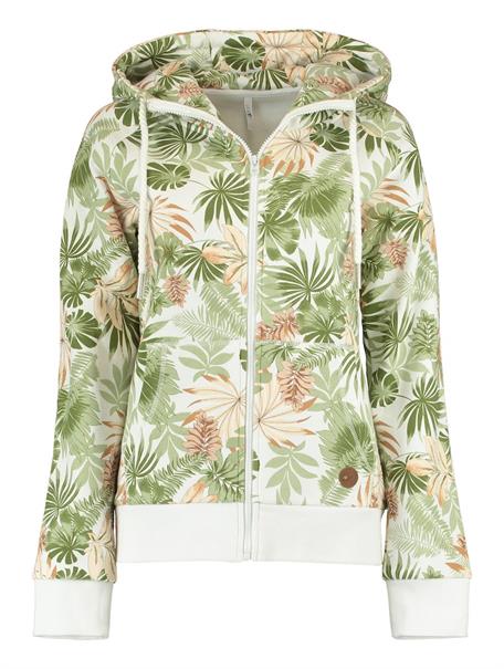 LS C HJ Ly44s 6148 palm