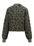 LS C JK Ta44mmy 7832 khaki leo