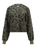 LS C JK Ta44mmy 7832 khaki leo