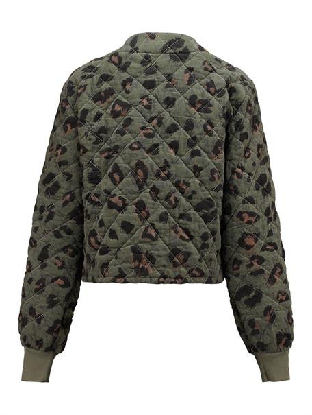 LS C JK Ta44mmy 7832 khaki leo