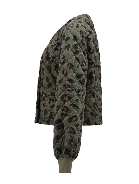 LS C JK Ta44mmy 7832 khaki leo