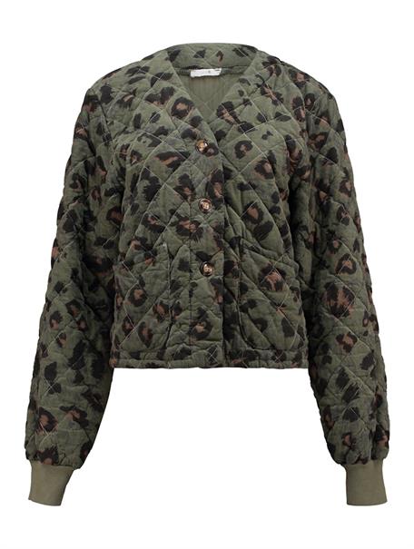 LS C JK Ta44mmy 7832 khaki leo