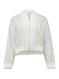 LS C JK Te44rry white