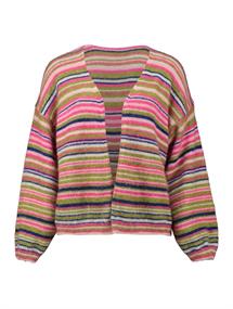 LS P CD Ir44ina multi stripe