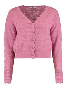 LS P CD Li44via flamingo pink marl