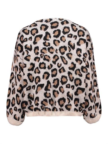 LS P CD No44rma beige leo