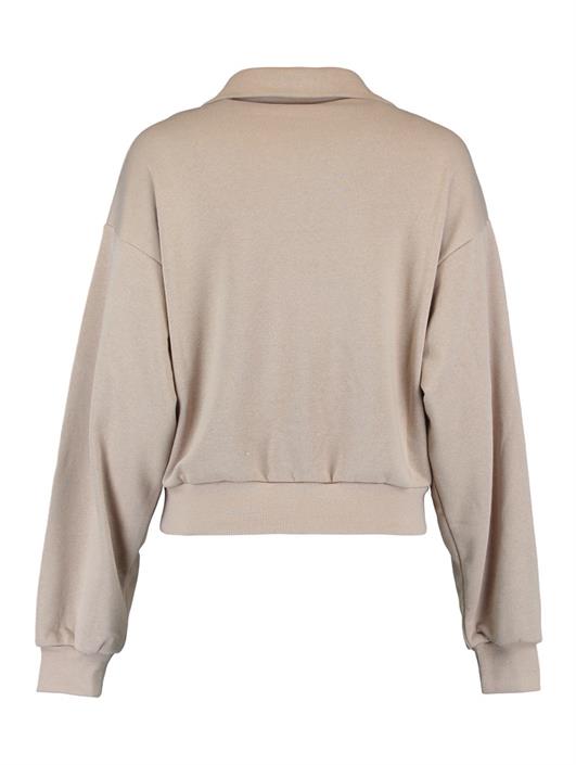 ltaupe
