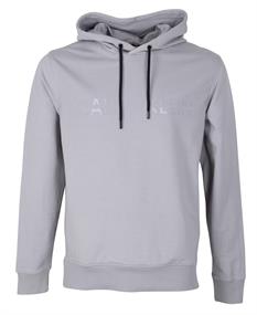 MATT SHINE SPLIT LOGO HOODIE grey fog