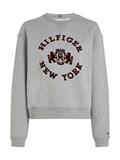 MDN REG VARSITY FLOCK SWEATSHIRT light grey htr