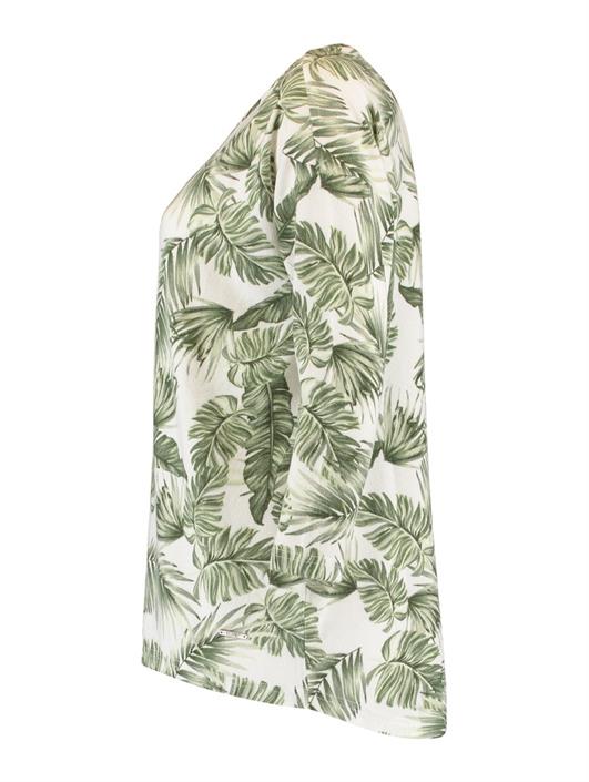 modell-3-4-p-tp-mia-palm