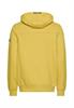 moss yellow