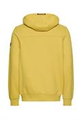 moss yellow