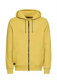 moss yellow