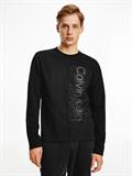 MULTI LOGO LS LIGHT SWEATSHIRT ck black