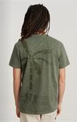Musa stencil pigment dye r t sage gd