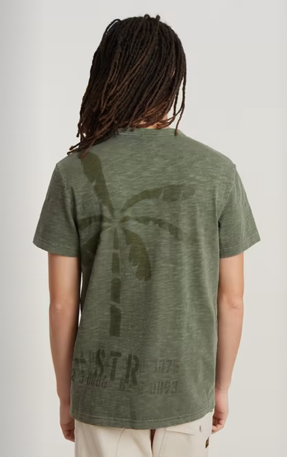 Musa stencil pigment dye r t sage gd
