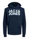navy blazer-reg -large print