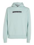 NEW YORK BOX LOGO HOODIE ghost glacier