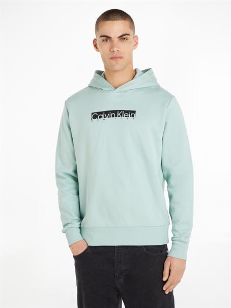 NEW YORK BOX LOGO HOODIE ghost glacier