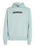 NEW YORK BOX LOGO HOODIE ghost glacier