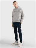 New York Hoodie grey