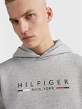 New York Hoodie grey