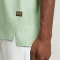 Nifous r t birds egg green