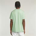 Nifous r t birds egg green