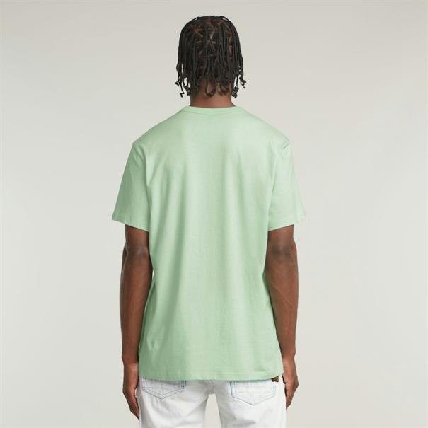 Nifous r t birds egg green