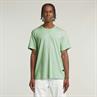 Nifous r t birds egg green