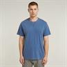 Nifous r t dutch blue gd
