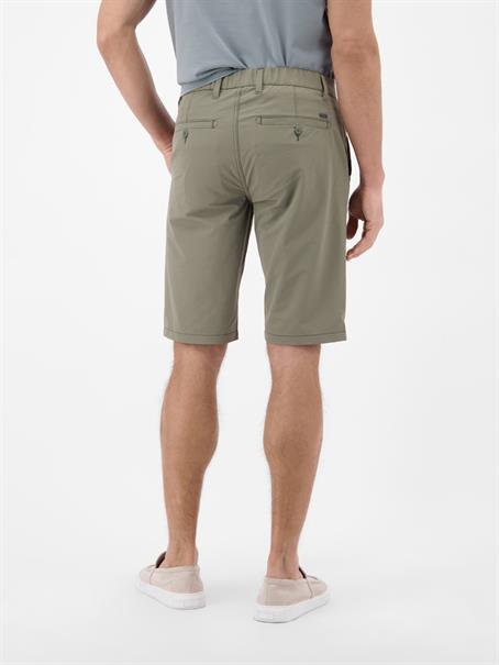 nordic olive